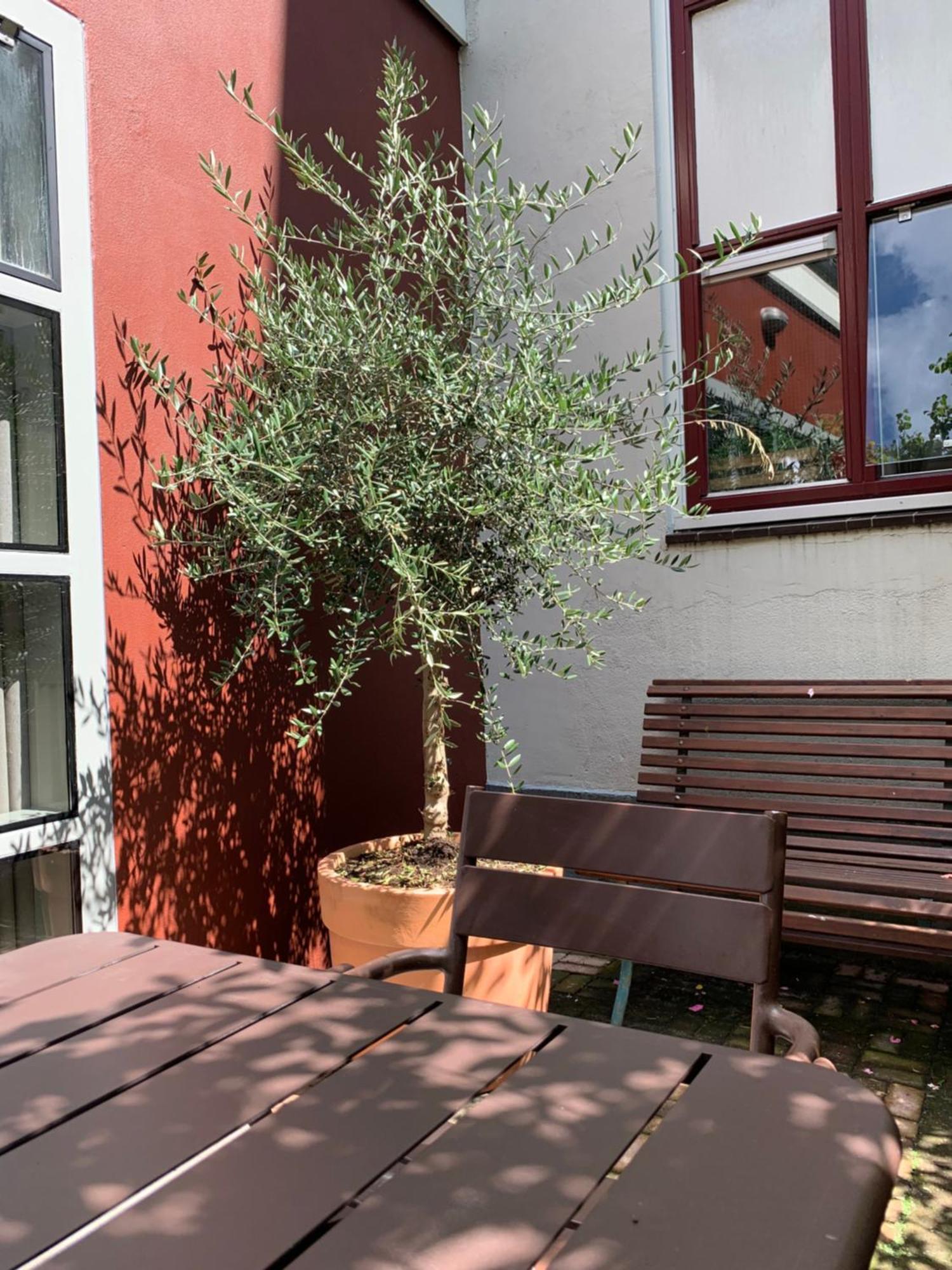 B&B Zocher6 Utrecht Exteriör bild